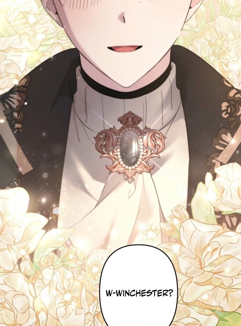 I Need to Raise My Sister Properly Chapter 108 340 45