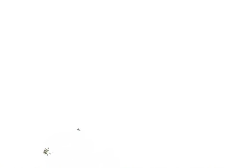 I Never Abandoned the Tyrant Chapter 60 474 095