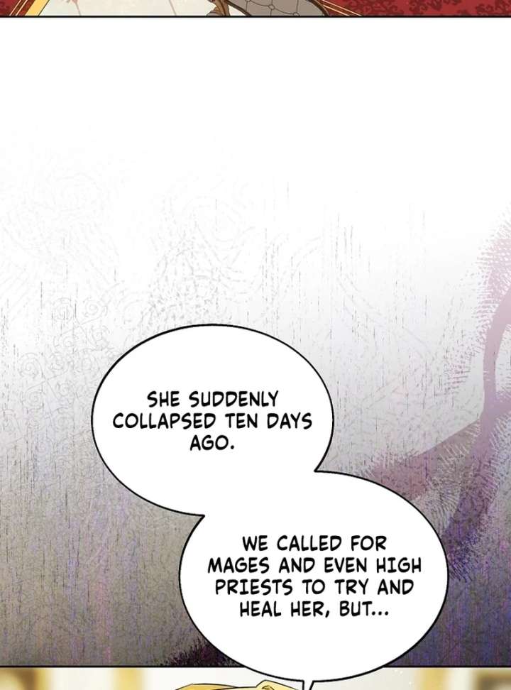 I Opened an Illegal Veterinary Clinic in Another World Chapter 13 385 003