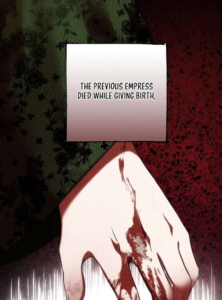 I Opened an Illegal Veterinary Clinic in Another World Chapter 13 487 105