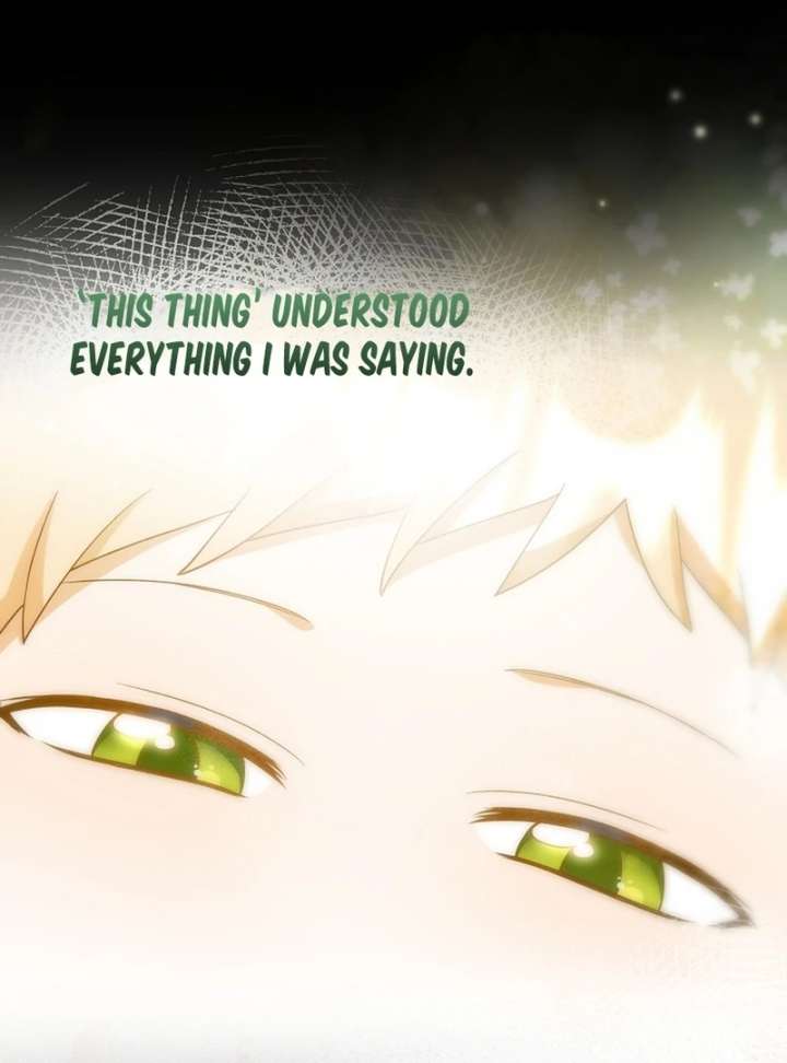 I Opened an Illegal Veterinary Clinic in Another World Chapter 13 496 114