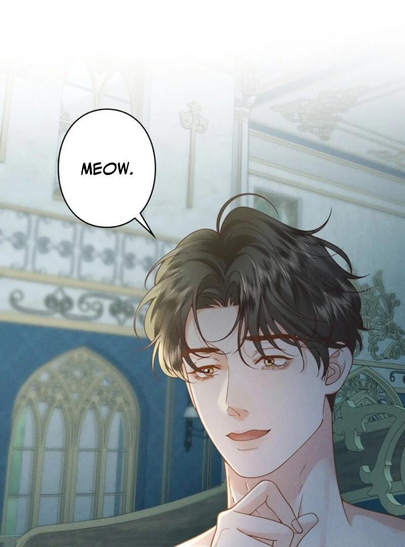 I Ran Away With My Contracted Husband Chapter 1 426 ch 1 23