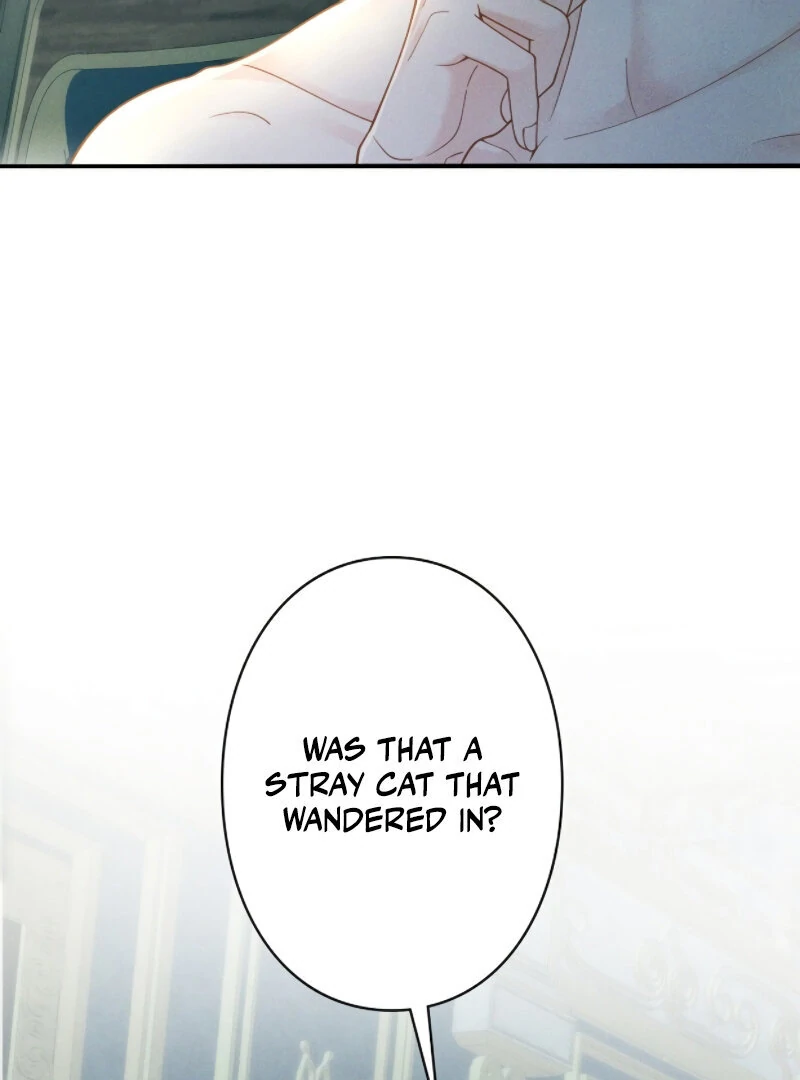 I Ran Away With My Contracted Husband Chapter 1 427 ch 1 24