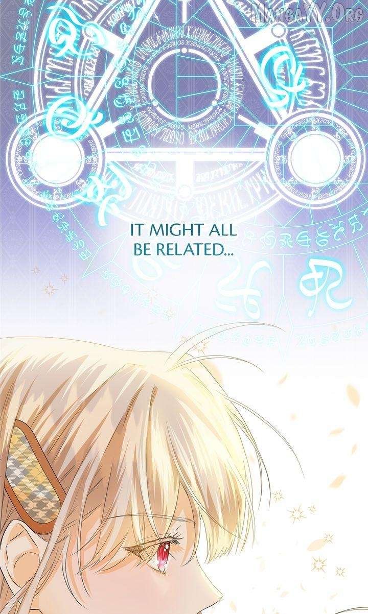 I refuse this kind of reliance Chapter 39 242 34