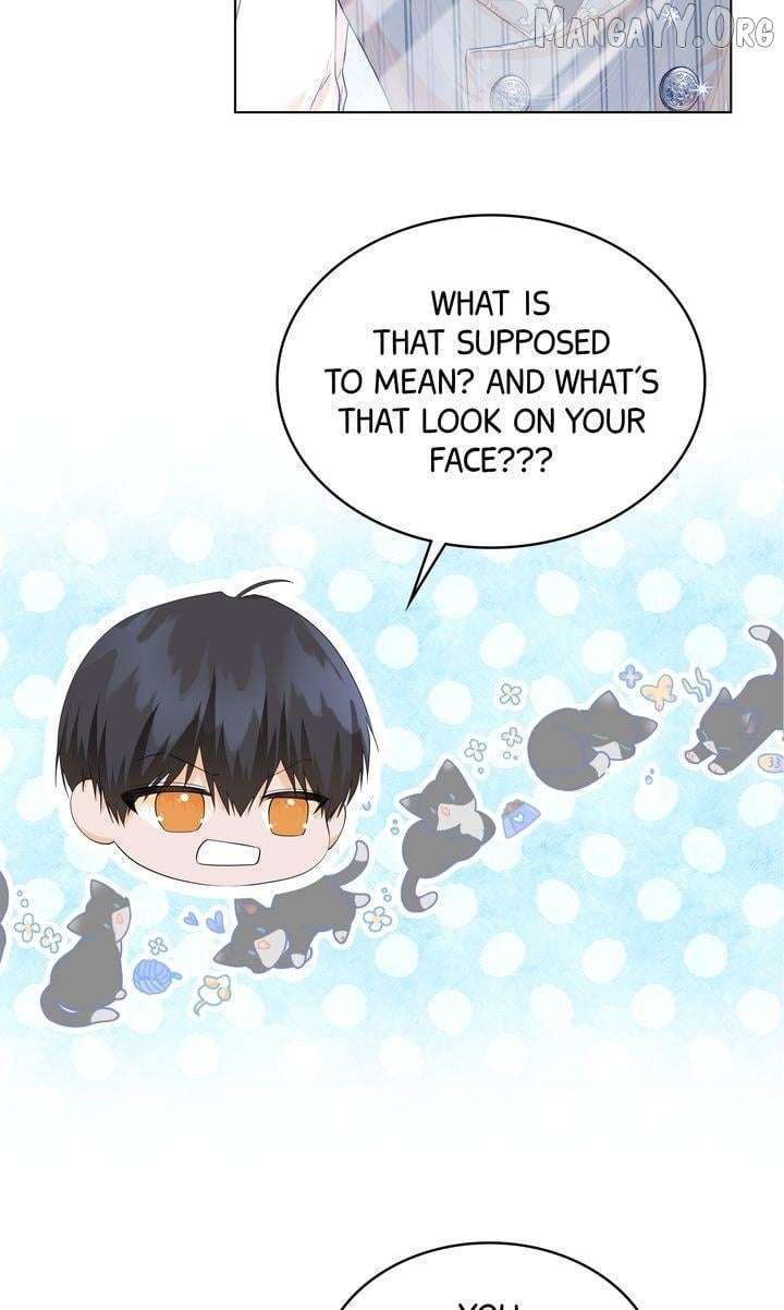 I refuse this kind of reliance Chapter 39 255 47