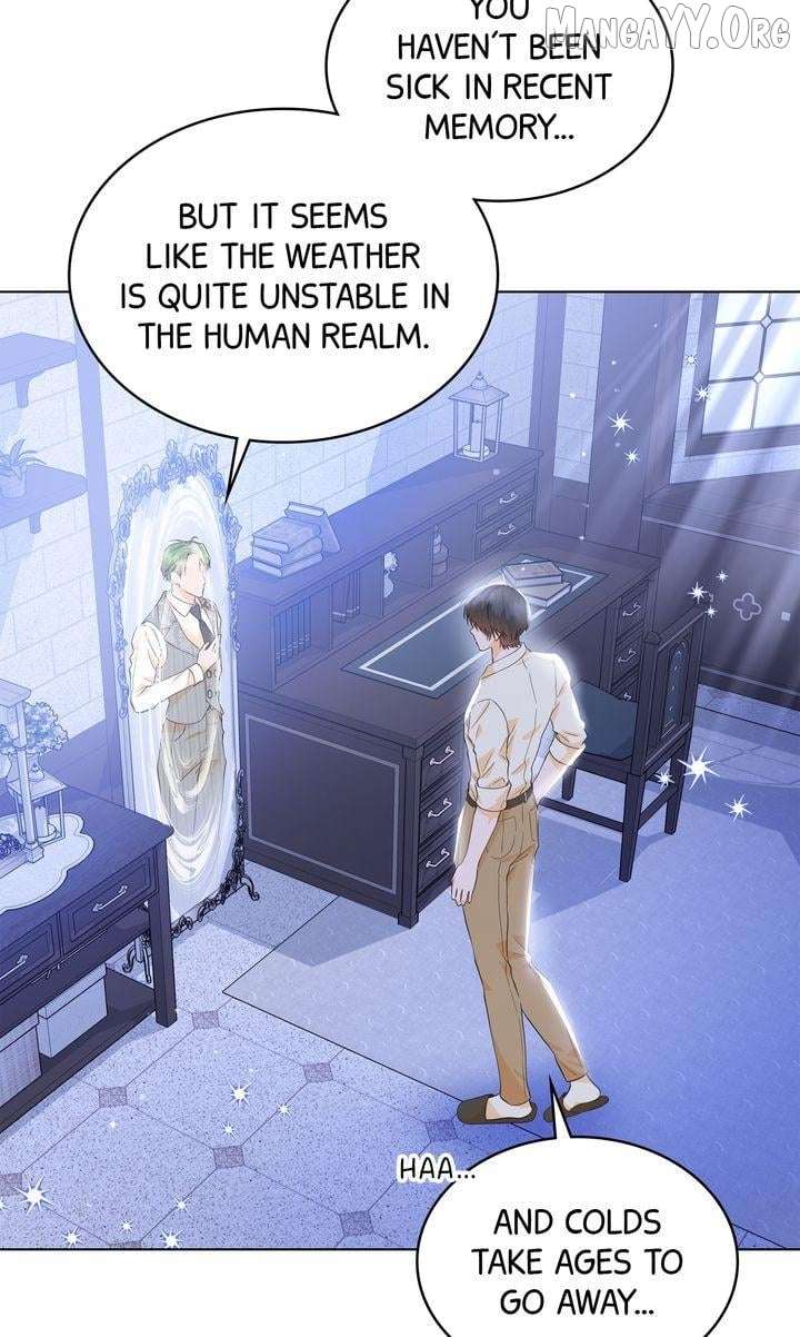 I refuse this kind of reliance Chapter 39 256 48