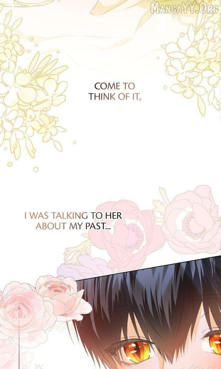 I refuse this kind of reliance Chapter 41 244 042