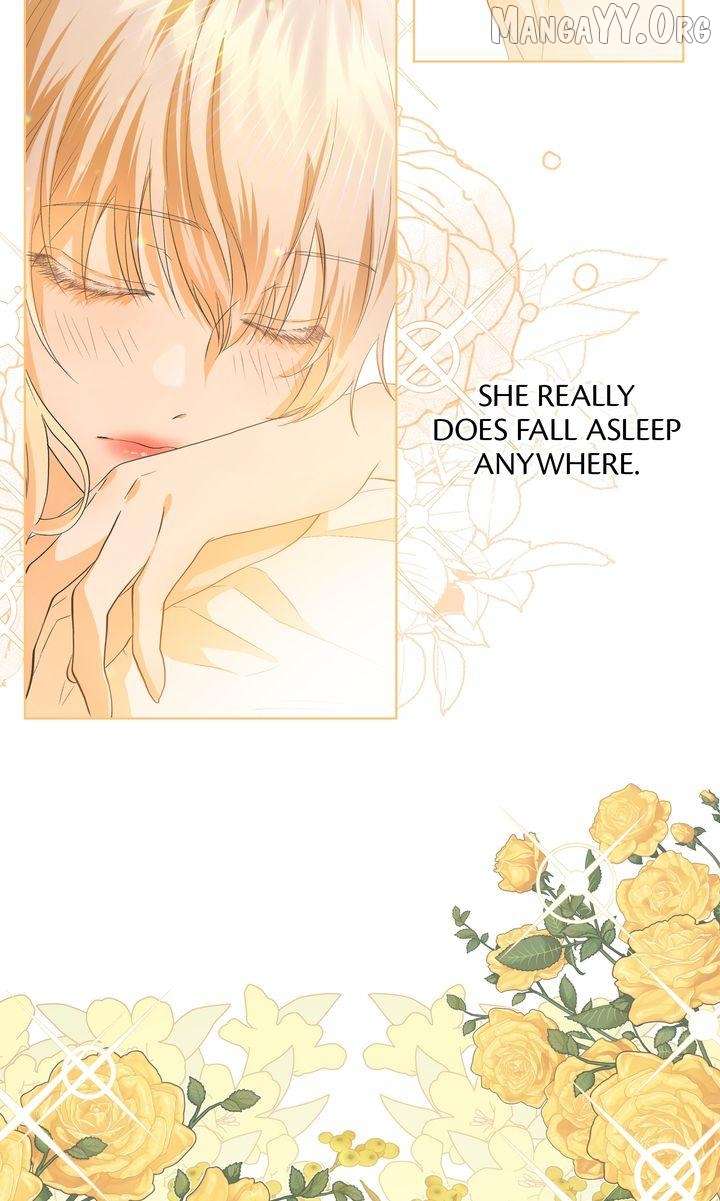 I refuse this kind of reliance Chapter 41 247 045