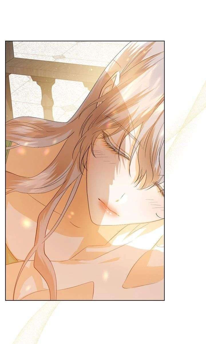 I refuse this kind of reliance Chapter 41 261 059