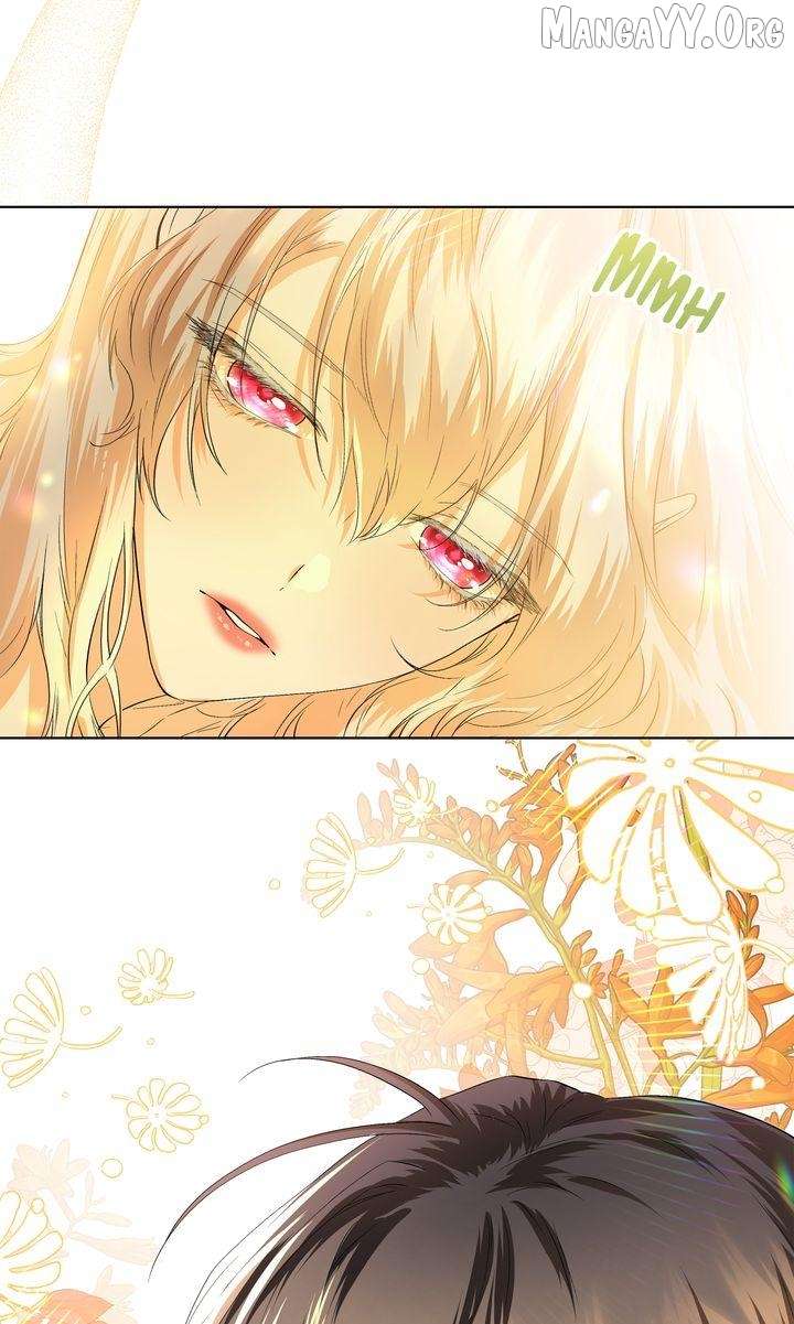 I refuse this kind of reliance Chapter 41 262 060