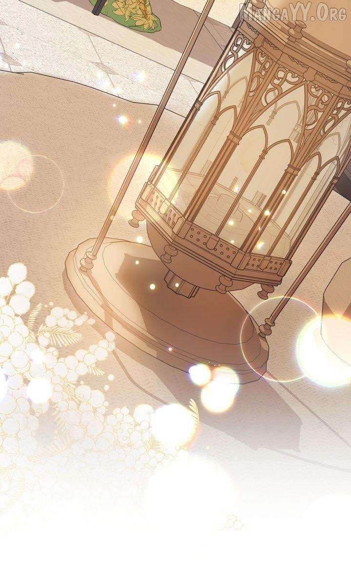 I refuse this kind of reliance Chapter 41 266 064