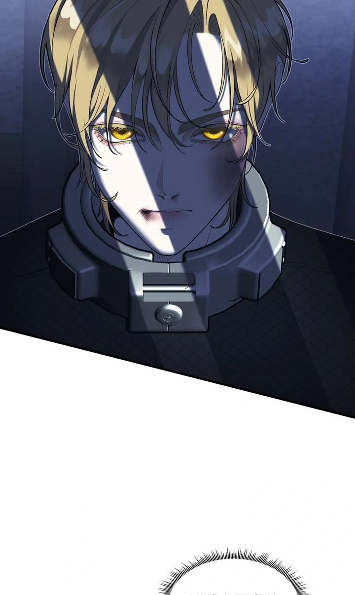 I Spent the Night with My Soon-to-be Ex-Husband Chapter 25 297 11