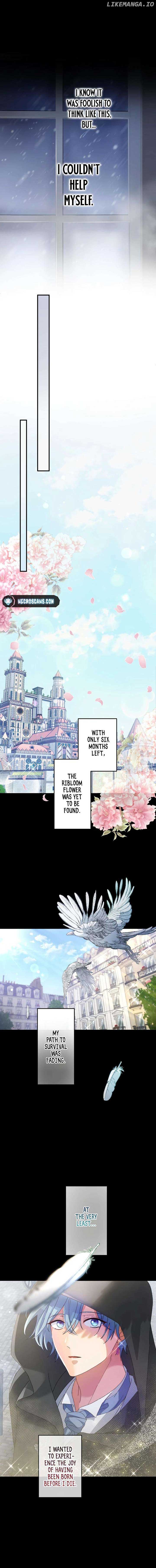 I Still Don’t Know About My Favourite Character’s Unwavering Obsession Chapter 10 82 12