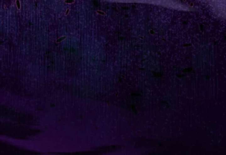 I Still Don’t Know About My Favourite Character’s Unwavering Obsession Chapter 48 567 086