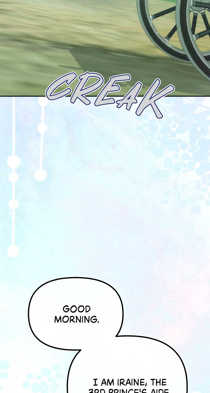 I Thought I Tamed the Villain Chapter 65 331 66