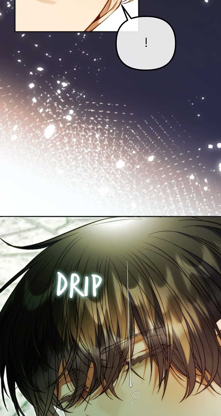 I Thought I Tamed the Villain Chapter 70 338 43