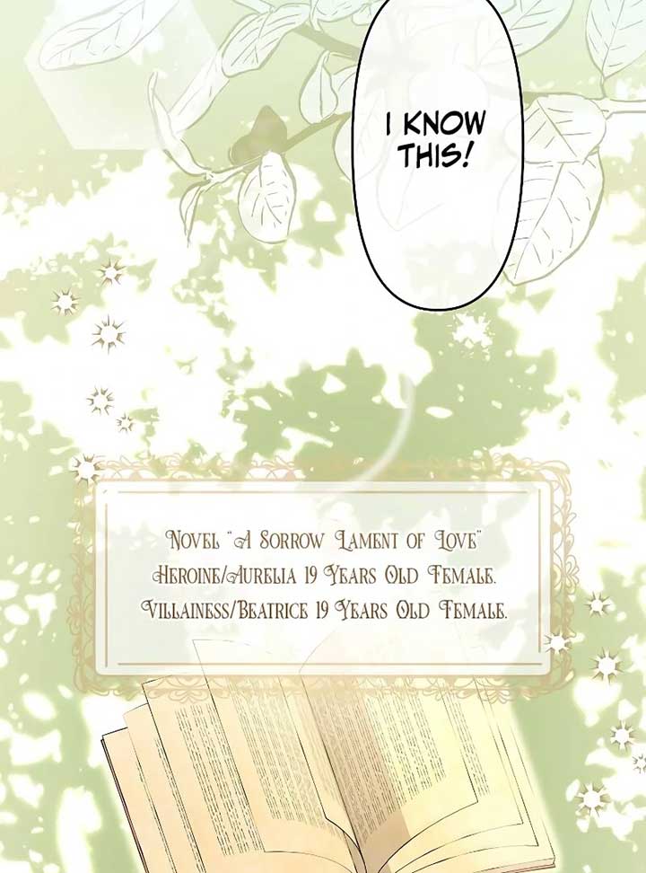 I Tried to be a Villainess, But Now I’m Being Obsessed Over?! Chapter 1 135 ch 1 11