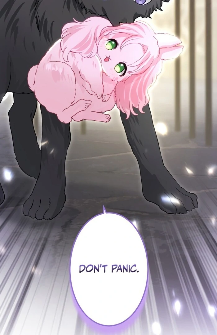 I Was Doted on After Raising the Final Boss Duke’s Nephew Chapter 26 336 ch 26 2