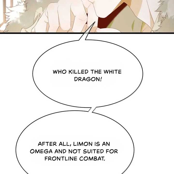 I Was Reborn as His Highness the Prince’s Little Evil Dragon Chapter 68 213 28