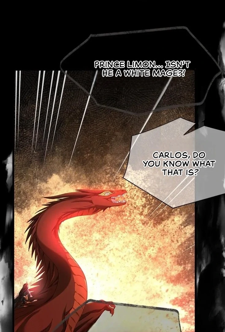 I Was Reborn as His Highness the Prince’s Little Evil Dragon Chapter 70 157 27