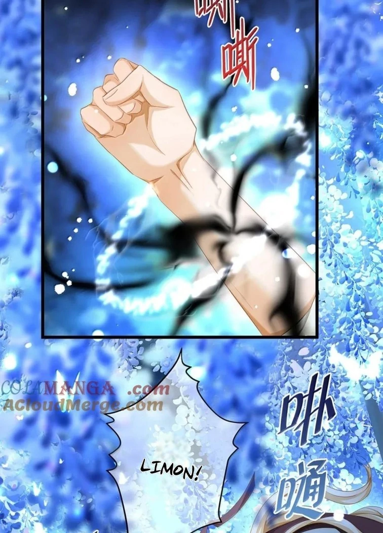 I Was Reborn as His Highness the Prince’s Little Evil Dragon Chapter 71 168 26