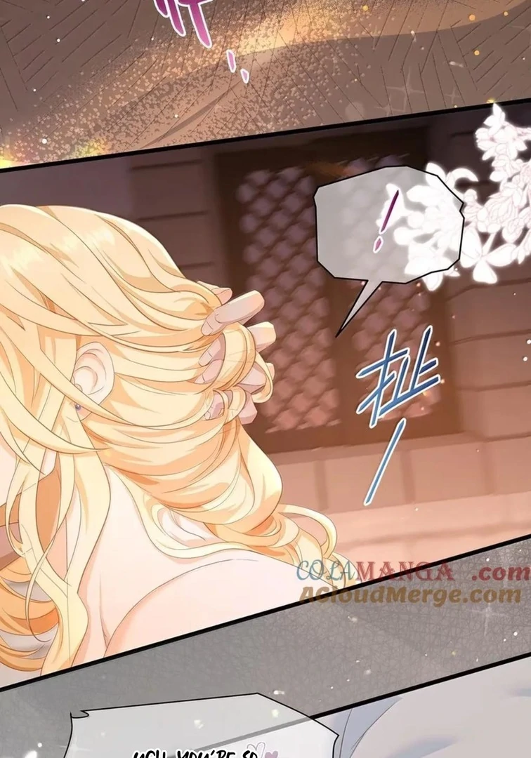 I Was Reborn as His Highness the Prince’s Little Evil Dragon Chapter 75 138 17