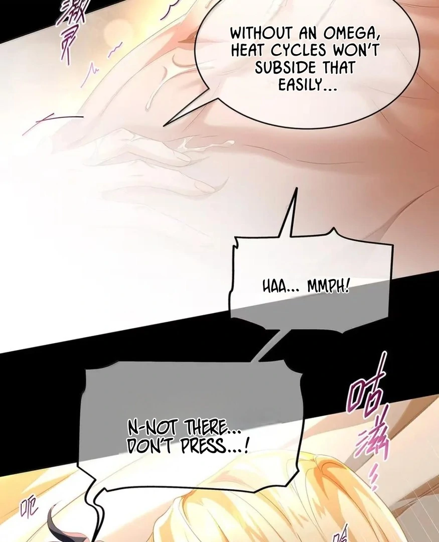 I Was Reborn as His Highness the Prince’s Little Evil Dragon Chapter 76 136 21