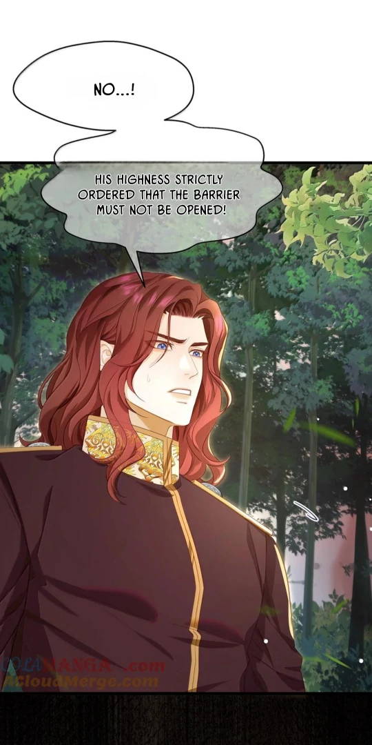 I Was Reborn as His Highness the Prince’s Little Evil Dragon Chapter 83 134 13