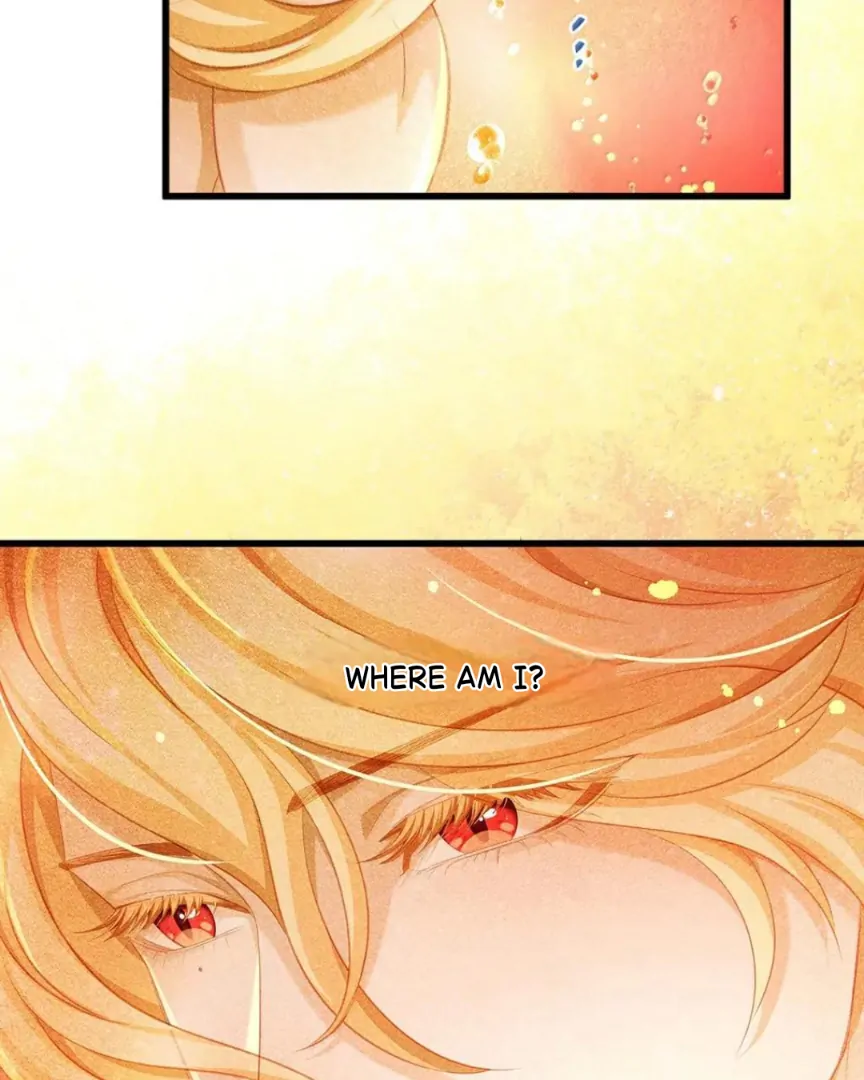 I Was Reborn as His Highness the Prince’s Little Evil Dragon Chapter 88 166 27