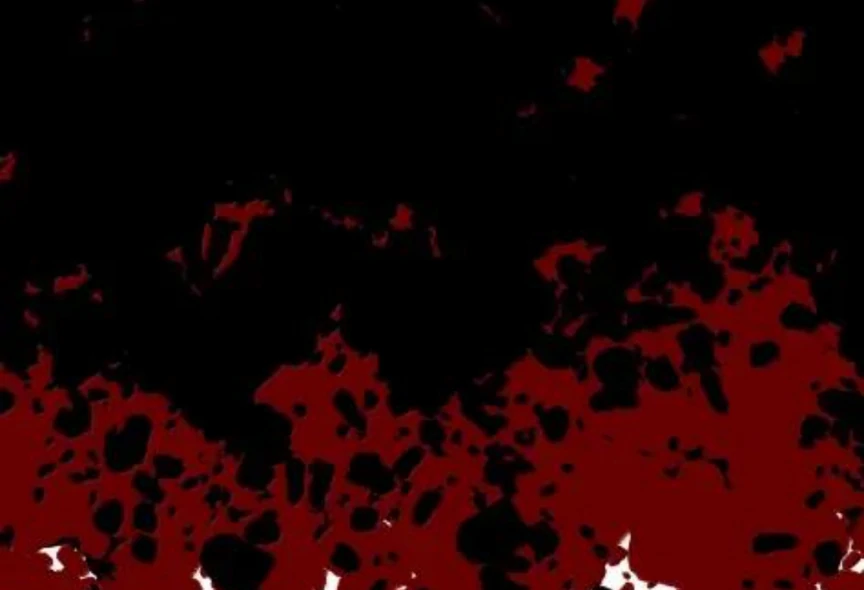 I Was Reborn as His Highness the Prince’s Little Evil Dragon Chapter 90 175 12