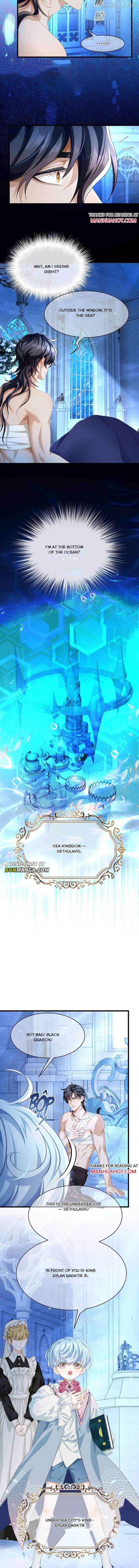 I Was Reborn as His Highness the Prince’s Little Evil Dragon Chapter 91 34 003