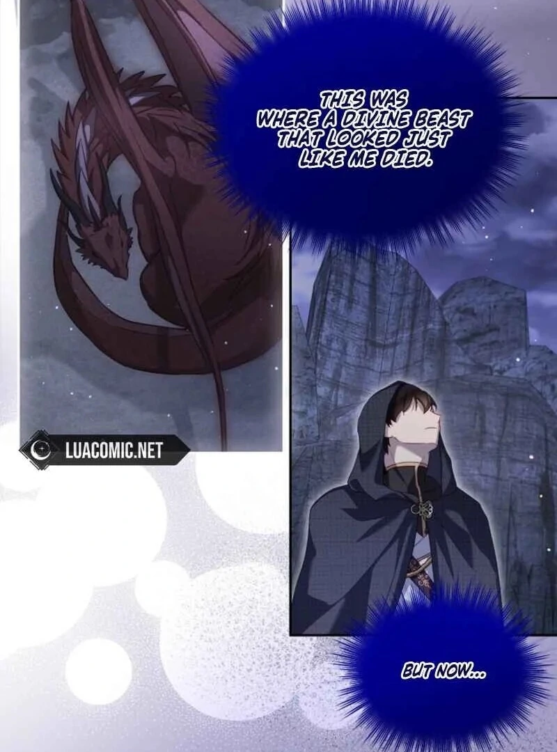 I Was Reincarnated as a Baby Fox God Chapter 96 425 055