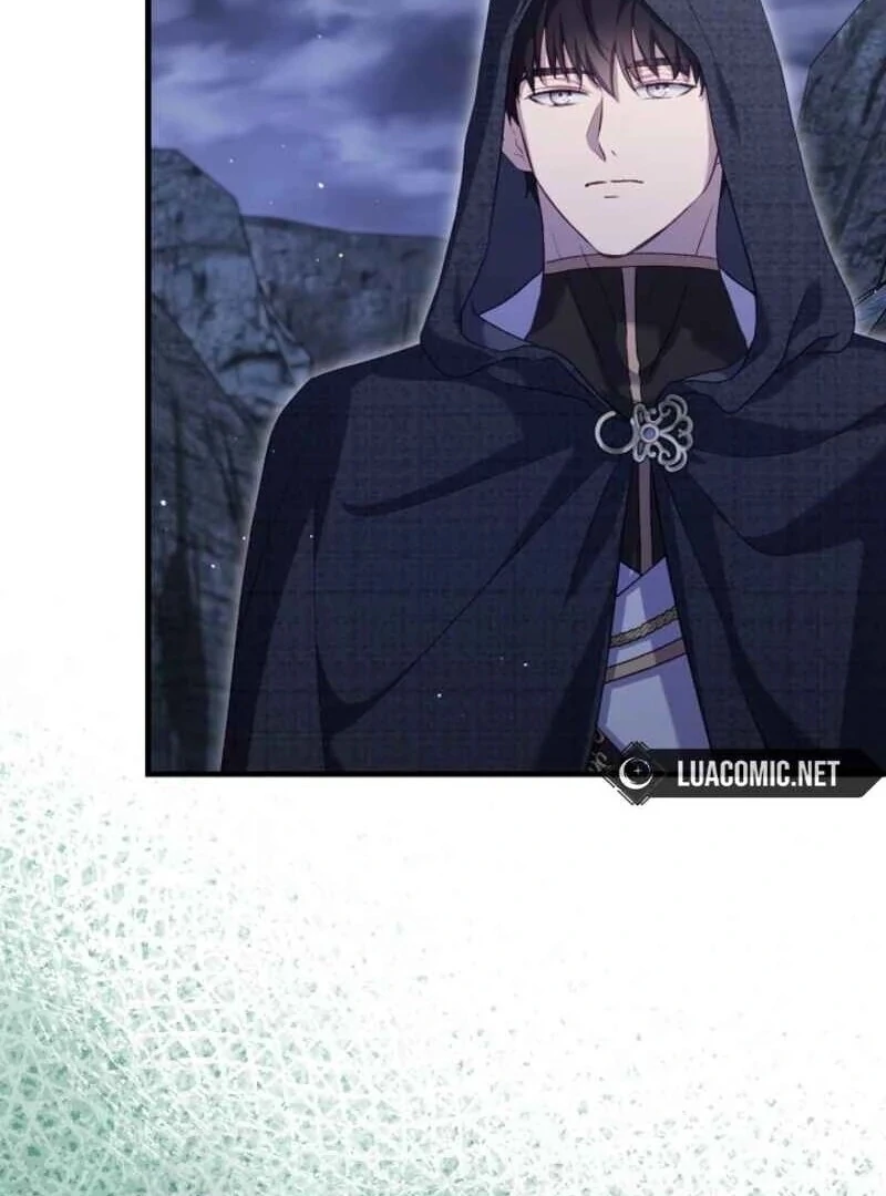 I Was Reincarnated as a Baby Fox God Chapter 96 438 068