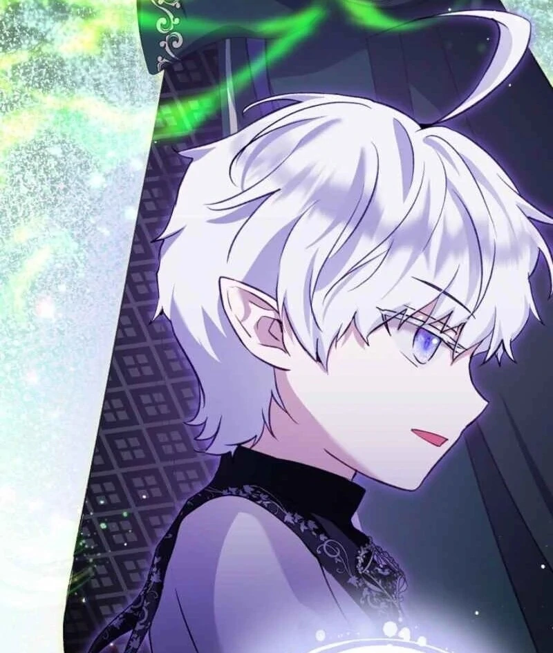 I Was Reincarnated as a Baby Fox God Chapter 96 444 074