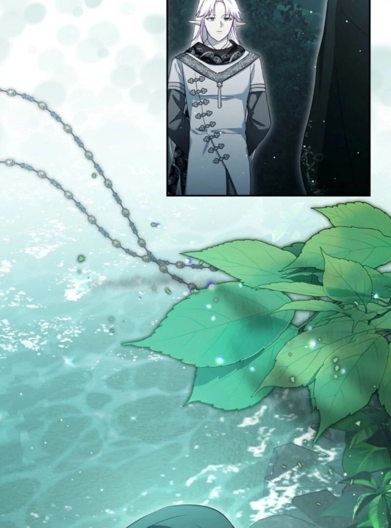 I Was Reincarnated as a Baby Fox God Chapter 98 332 007