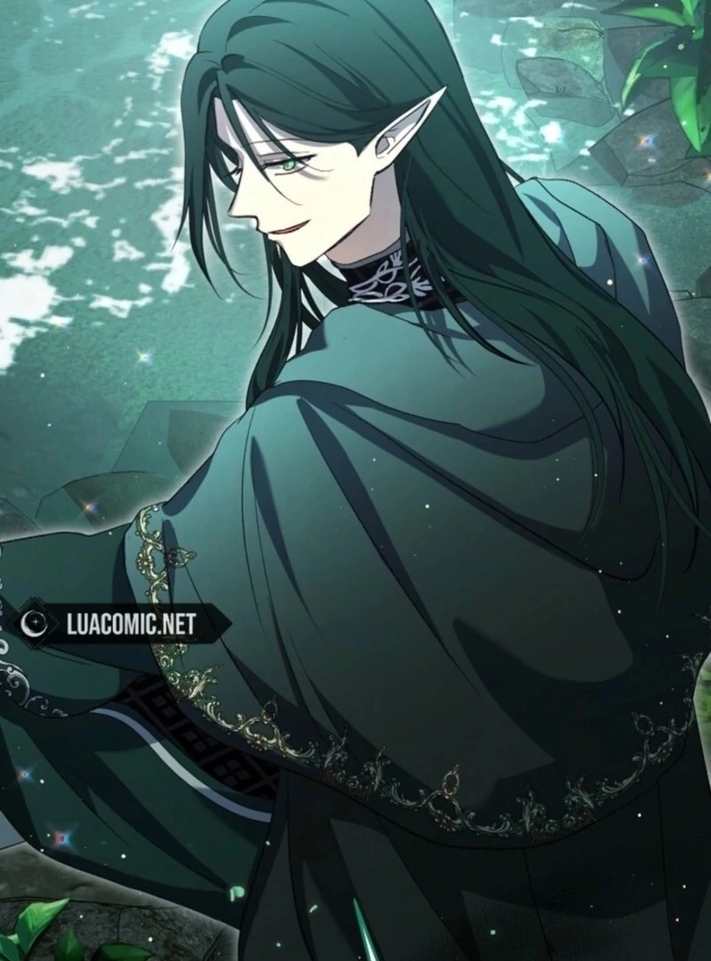 I Was Reincarnated as a Baby Fox God Chapter 98 333 008