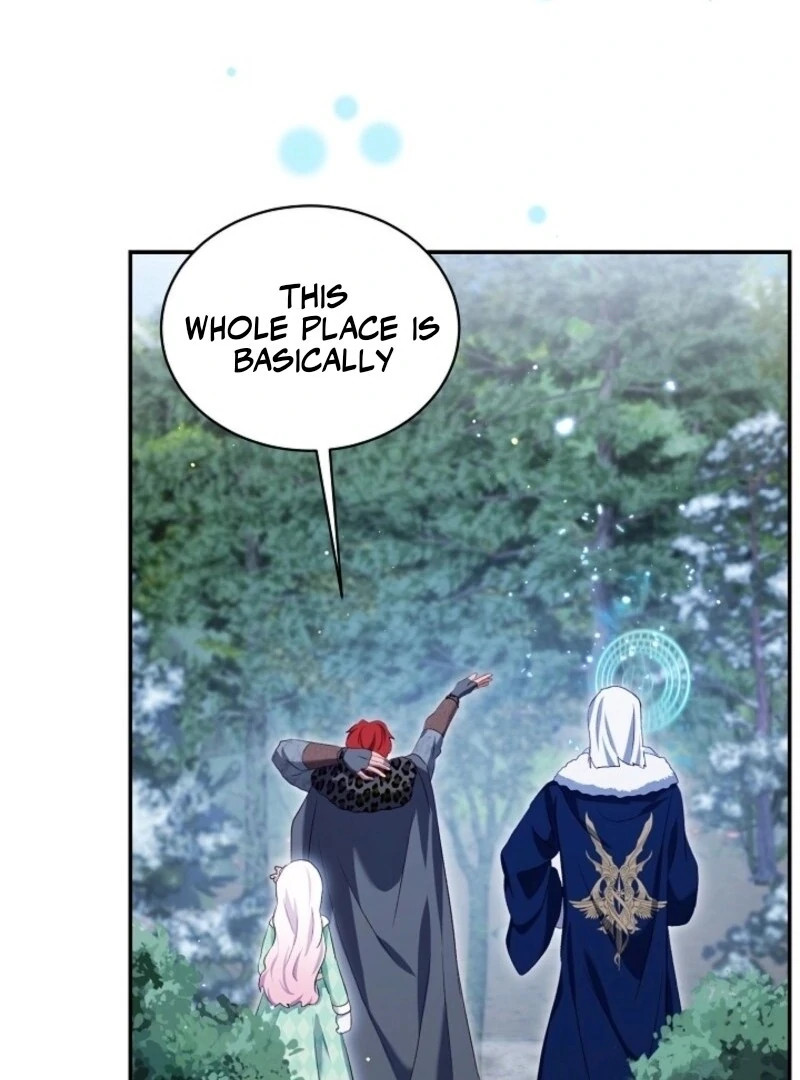 I Was Reincarnated as a Baby Fox God Chapter 98 389 064