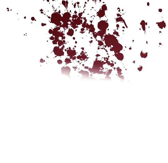 I Will Be a Shield for My Beloved Emperor Chapter 11 336 ch 11 56