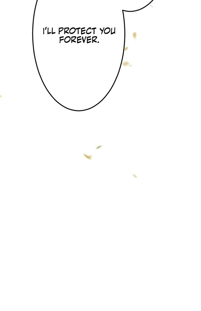 I Will Be a Shield for My Beloved Emperor Chapter 11 351 ch 11 71