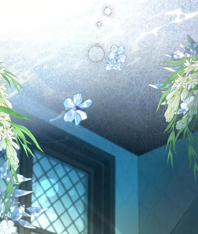ch 16 24