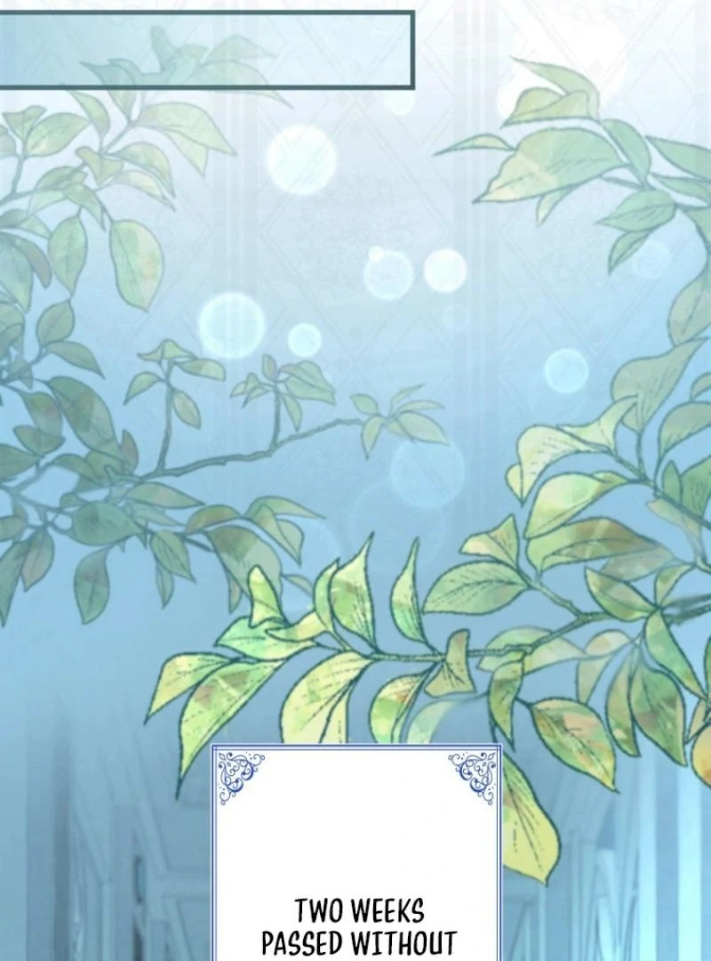 I will break ties with the harmful sister Chapter 22 539 ch 22 61