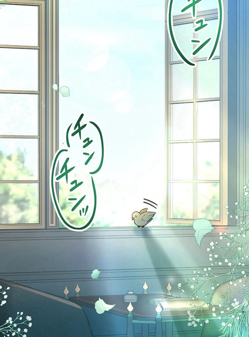 I will break ties with the harmful sister Chapter 31 490 ch 31 3