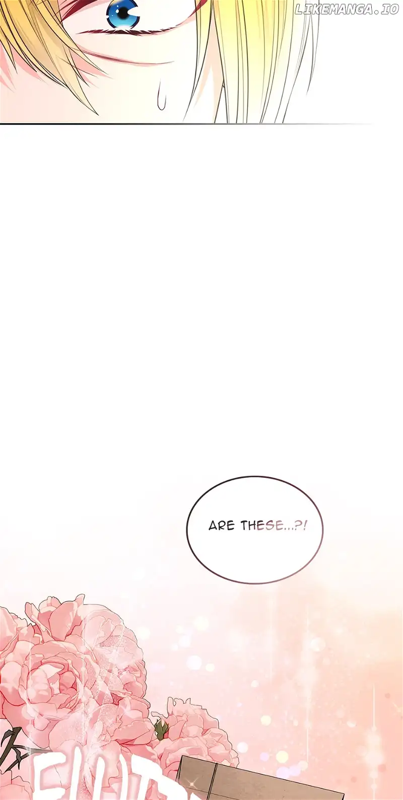 I Will Divorce the Female Lead’s Siscon Brother Chapter 40 338 004