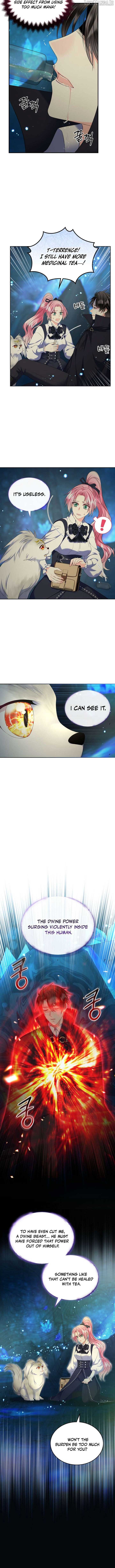 I Will Divorce the Female Lead’s Siscon Brother Chapter 76 48 02