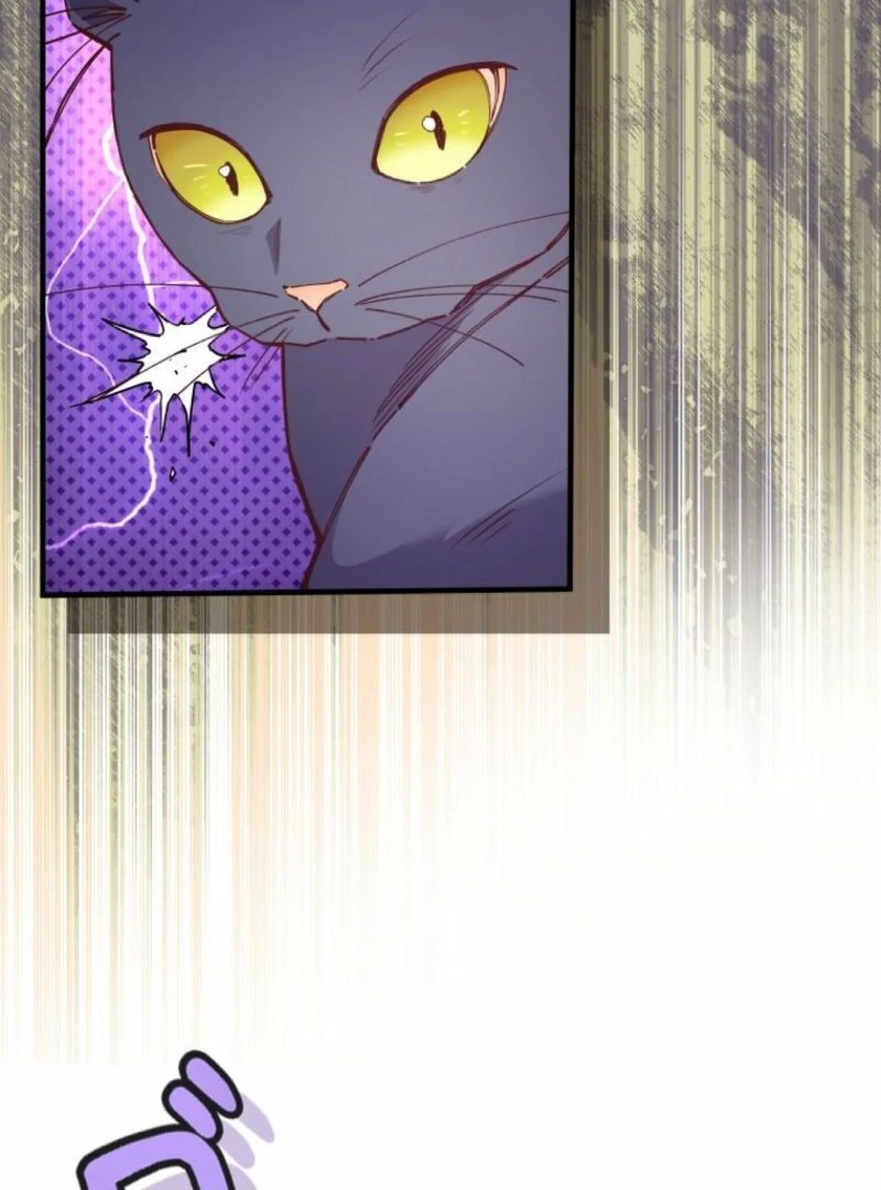 I Will Not be Overshadowed by my Twin Sister in This Life Chapter 13 449 006