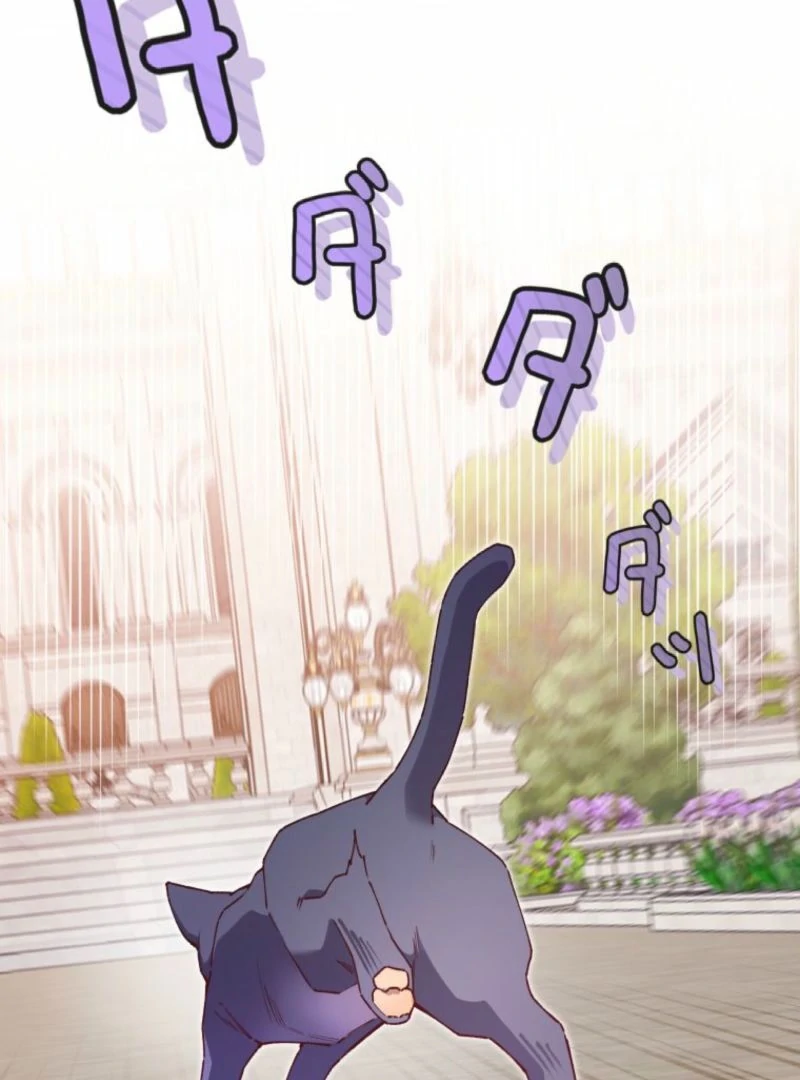 I Will Not be Overshadowed by my Twin Sister in This Life Chapter 13 450 007