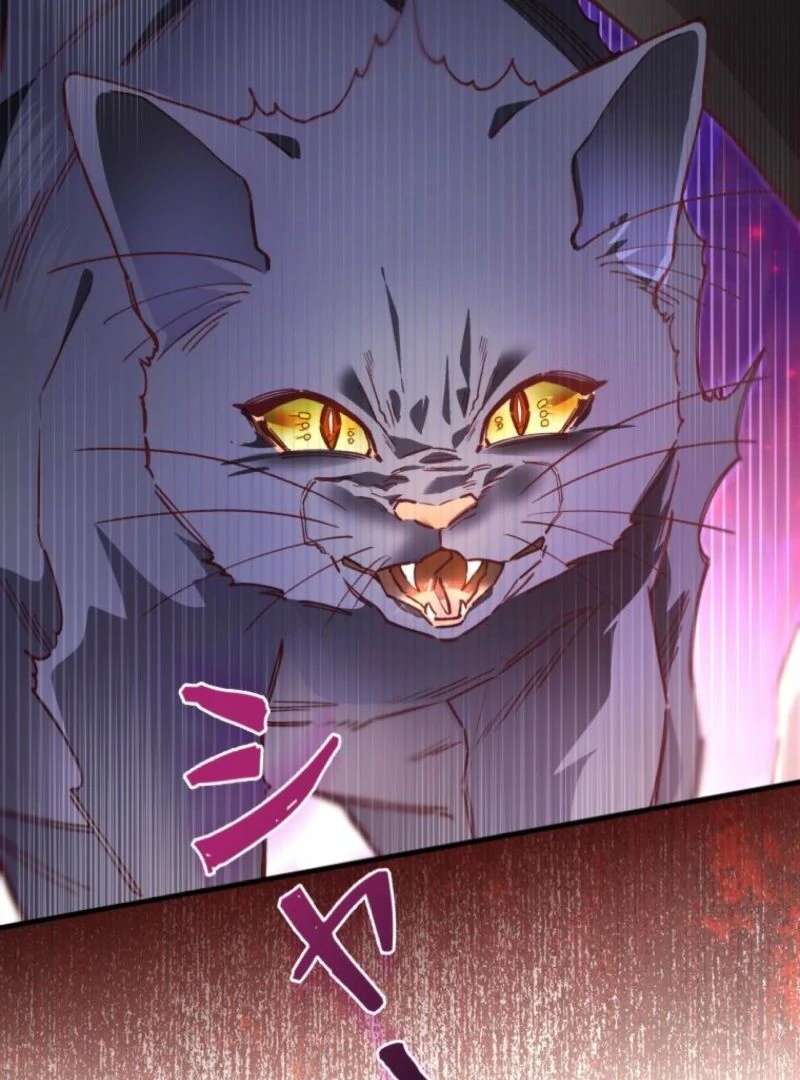 I Will Not be Overshadowed by my Twin Sister in This Life Chapter 13 455 012