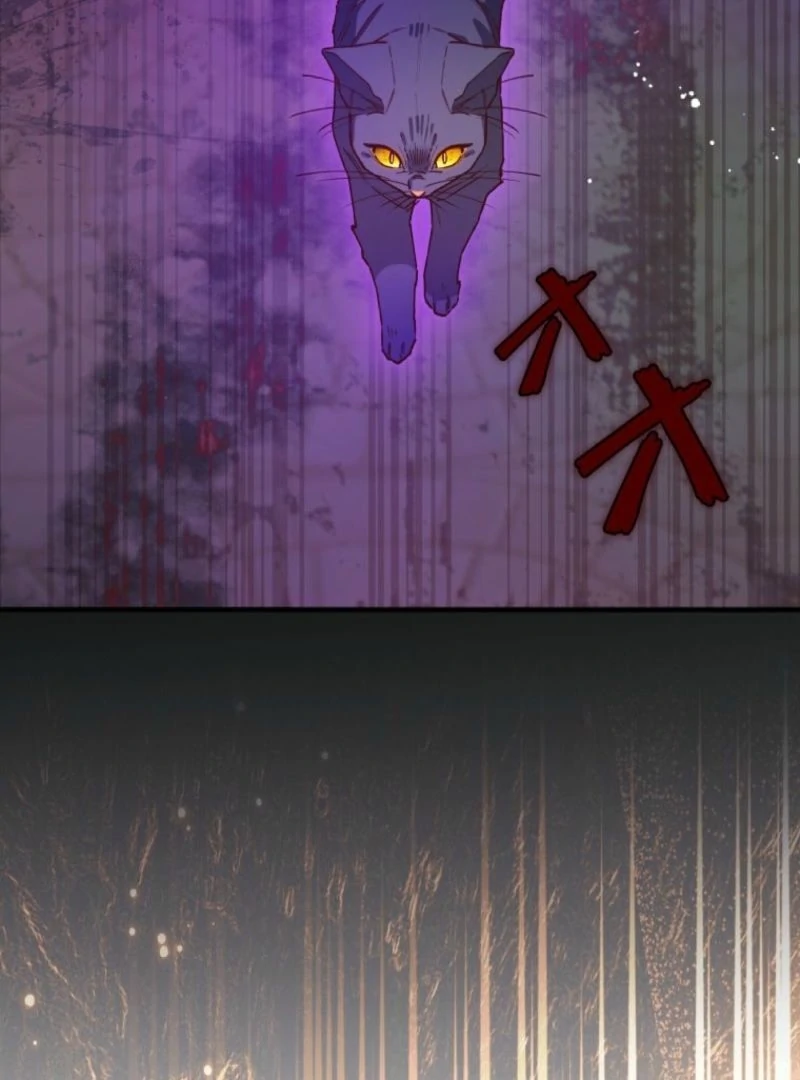 I Will Not be Overshadowed by my Twin Sister in This Life Chapter 13 466 023