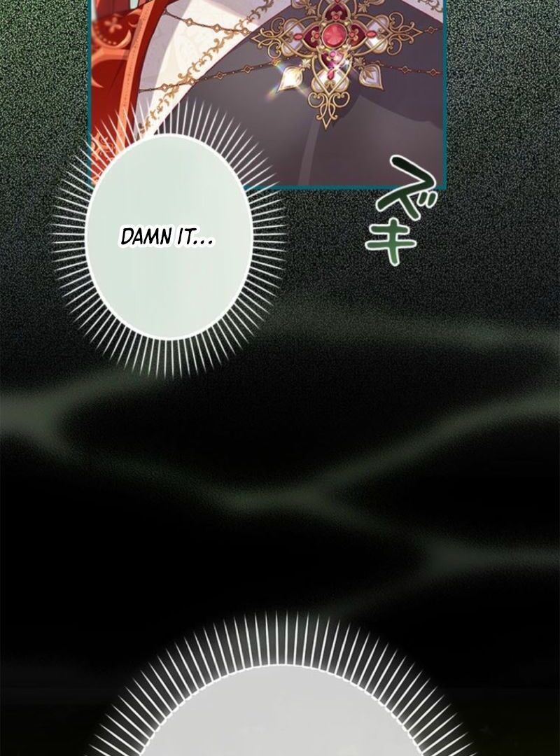 I Will Not be Overshadowed by my Twin Sister in This Life Chapter 13 472 029