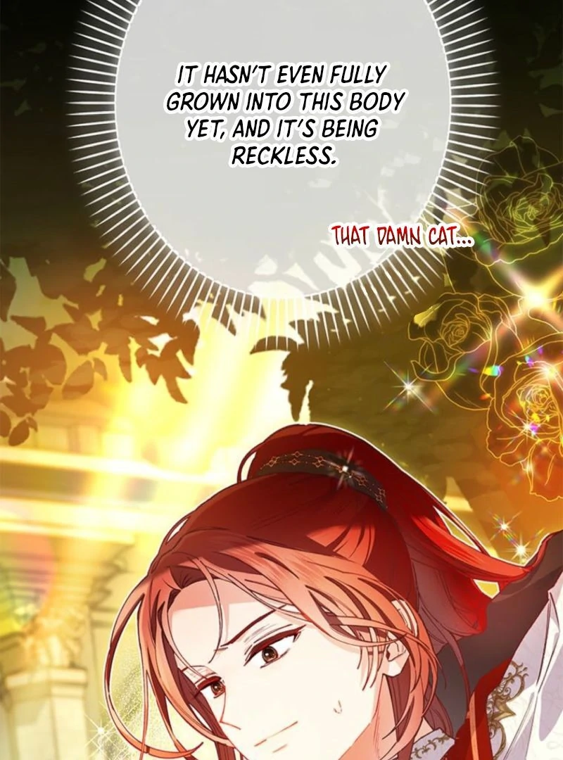 I Will Not be Overshadowed by my Twin Sister in This Life Chapter 13 473 030